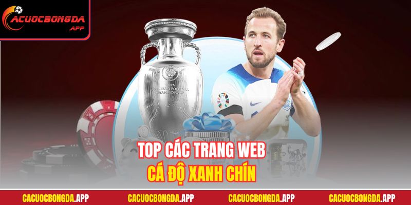 Top các trang web cá độ xanh chín